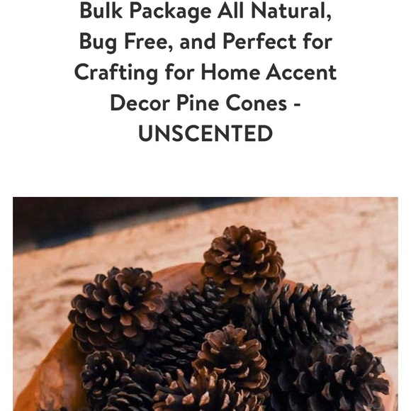 ❗5 For $2️⃣5️⃣ Bundle Sale❗️ Natural Source Pine Cones ~ Bag of 12 for Crafting - Picture 4 of 9
